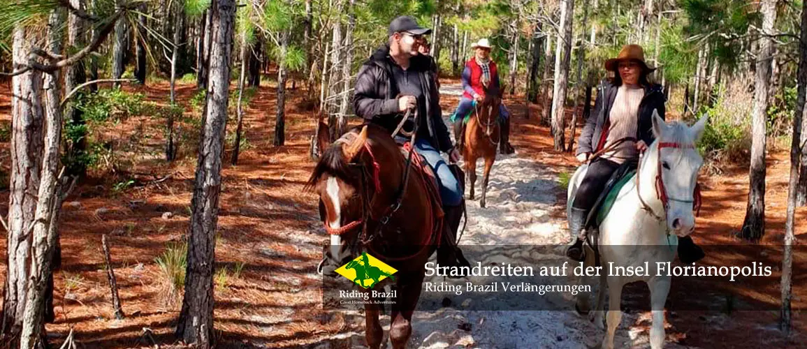 Beach Riding on Florianopolis Island