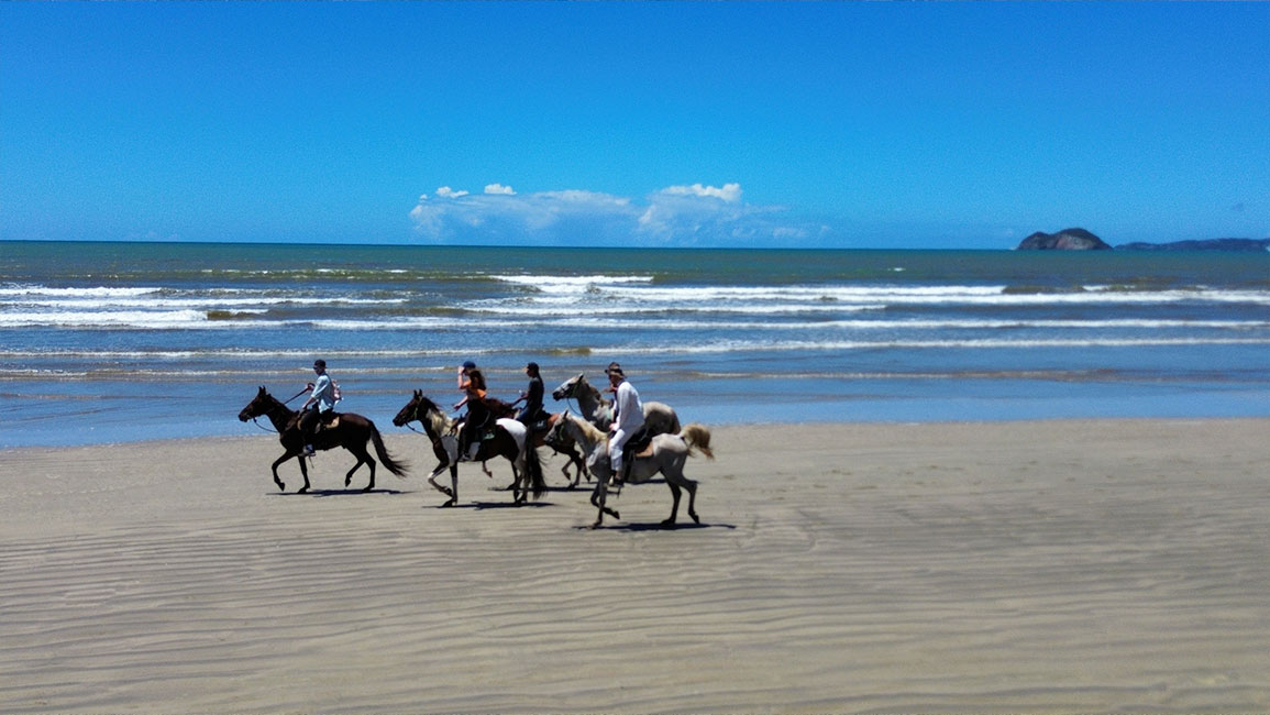 Einmaliger Kombinationsritt photo gallery