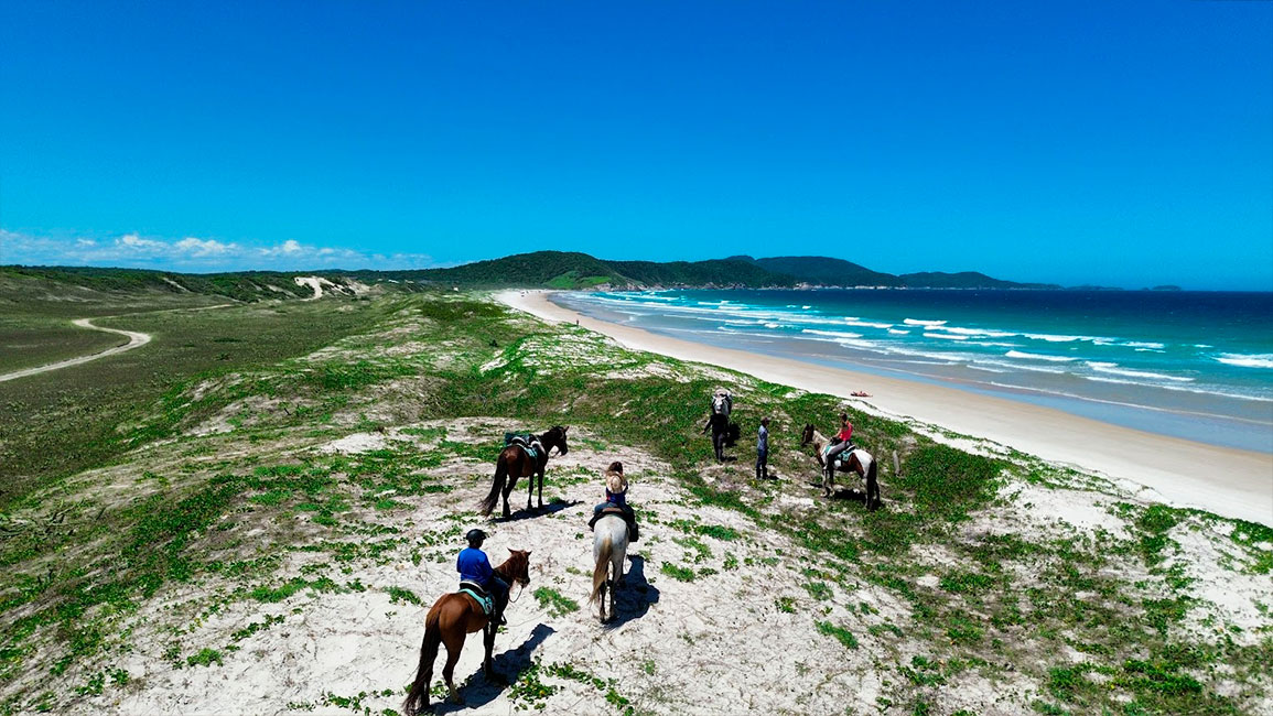 Einmaliger Kombinationsritt photo gallery