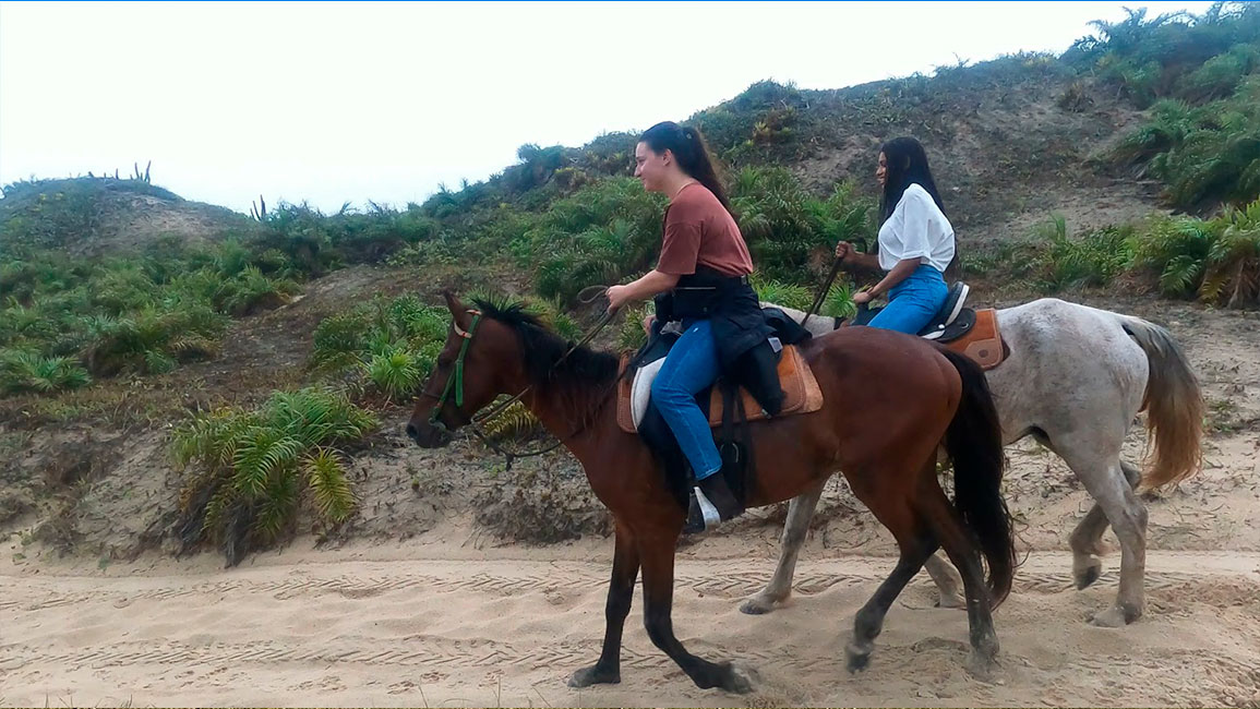 Einmaliger Kombinationsritt photo gallery