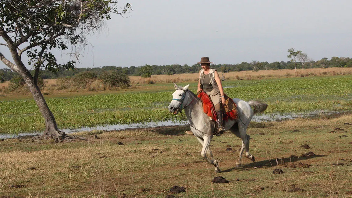 Pantanal