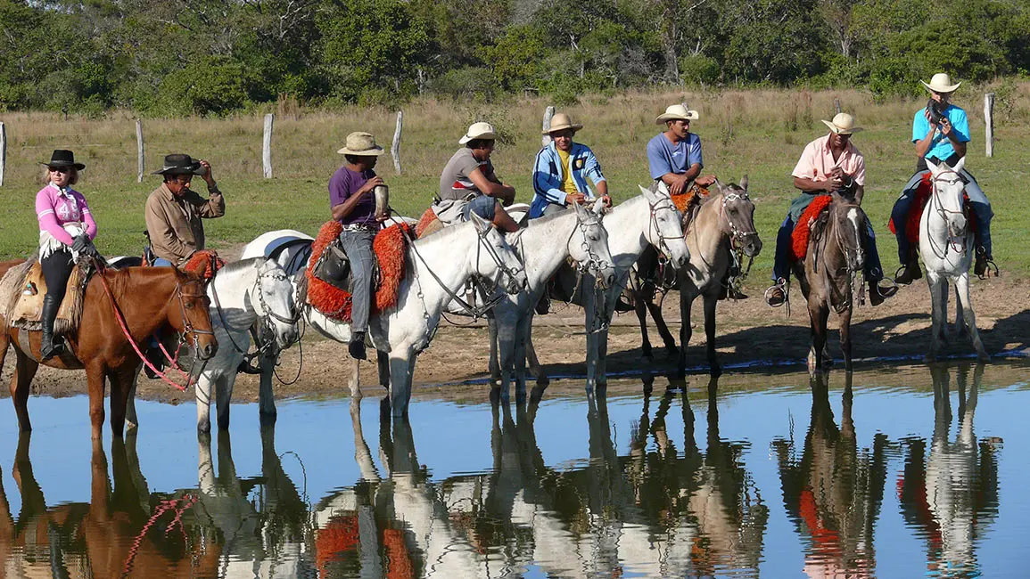 Pantanal