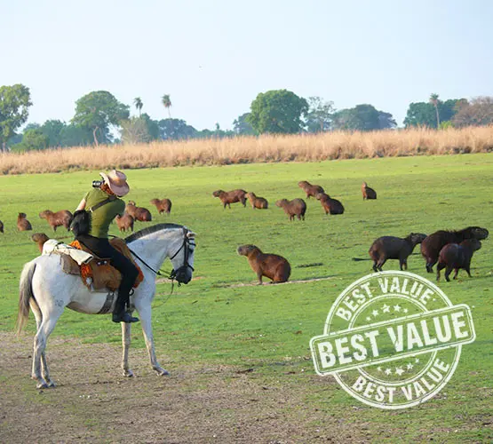 Pantanal Wildlife Trail