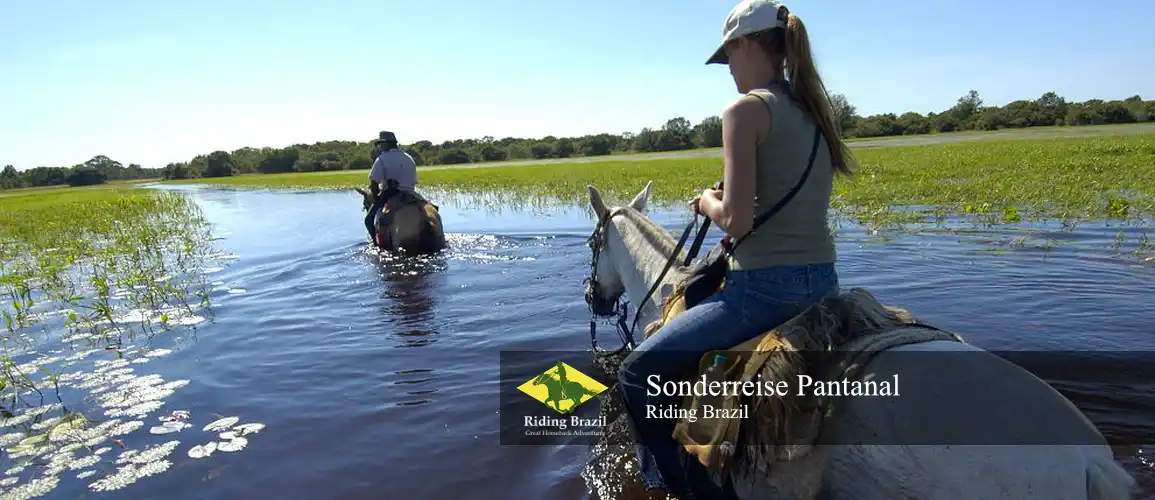 Sonderreise Pantanal