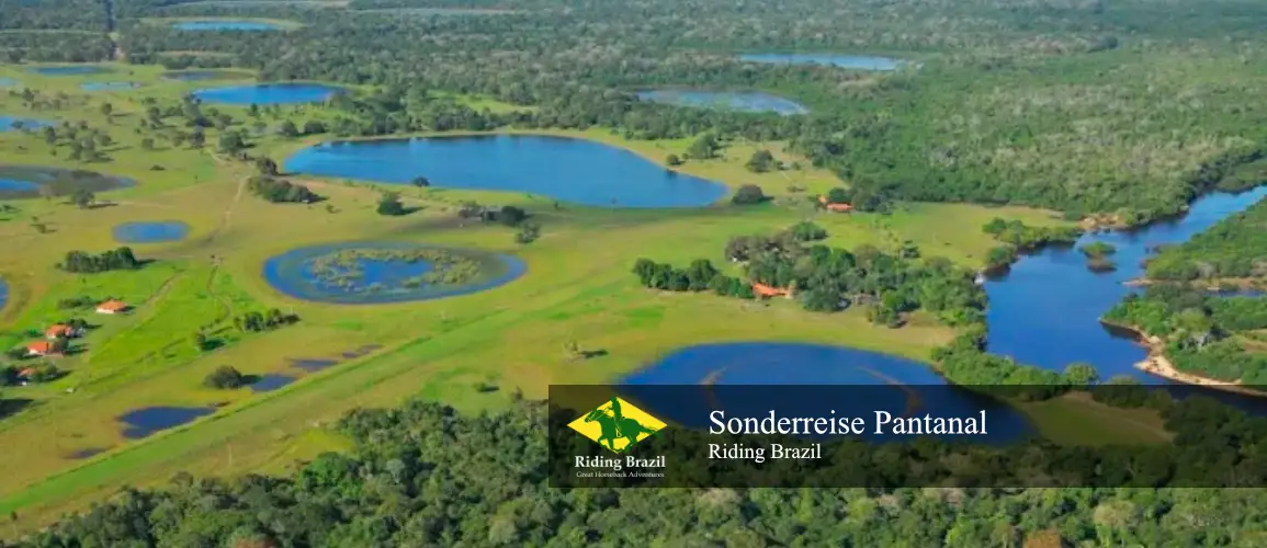 Sonderreise Pantanal